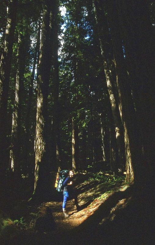 1994-07 Royal Basin Backpack 01 Pete Allen.jpg